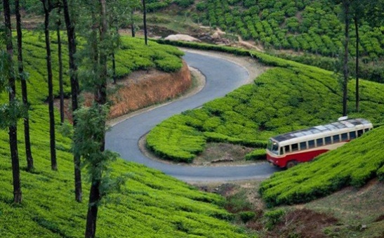 best green ecotourism hubs in India, popular road trips in India, how to travel green 